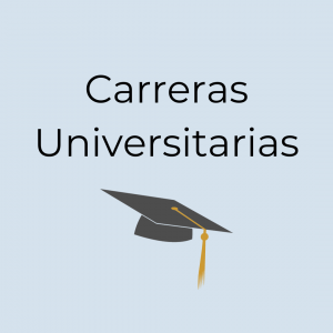 Carrera profesional